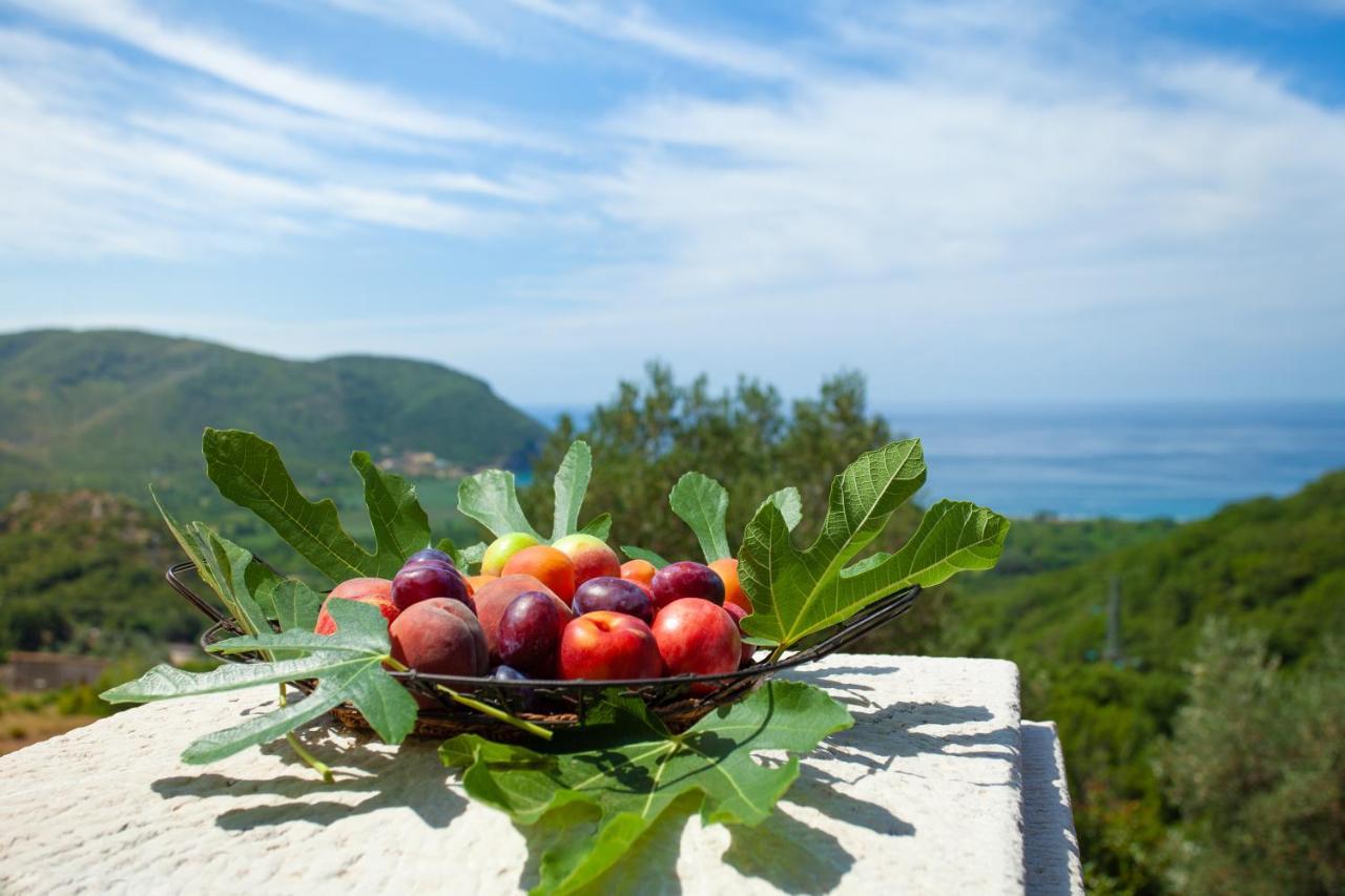 Eco Village Buljarica Budva Buitenkant foto