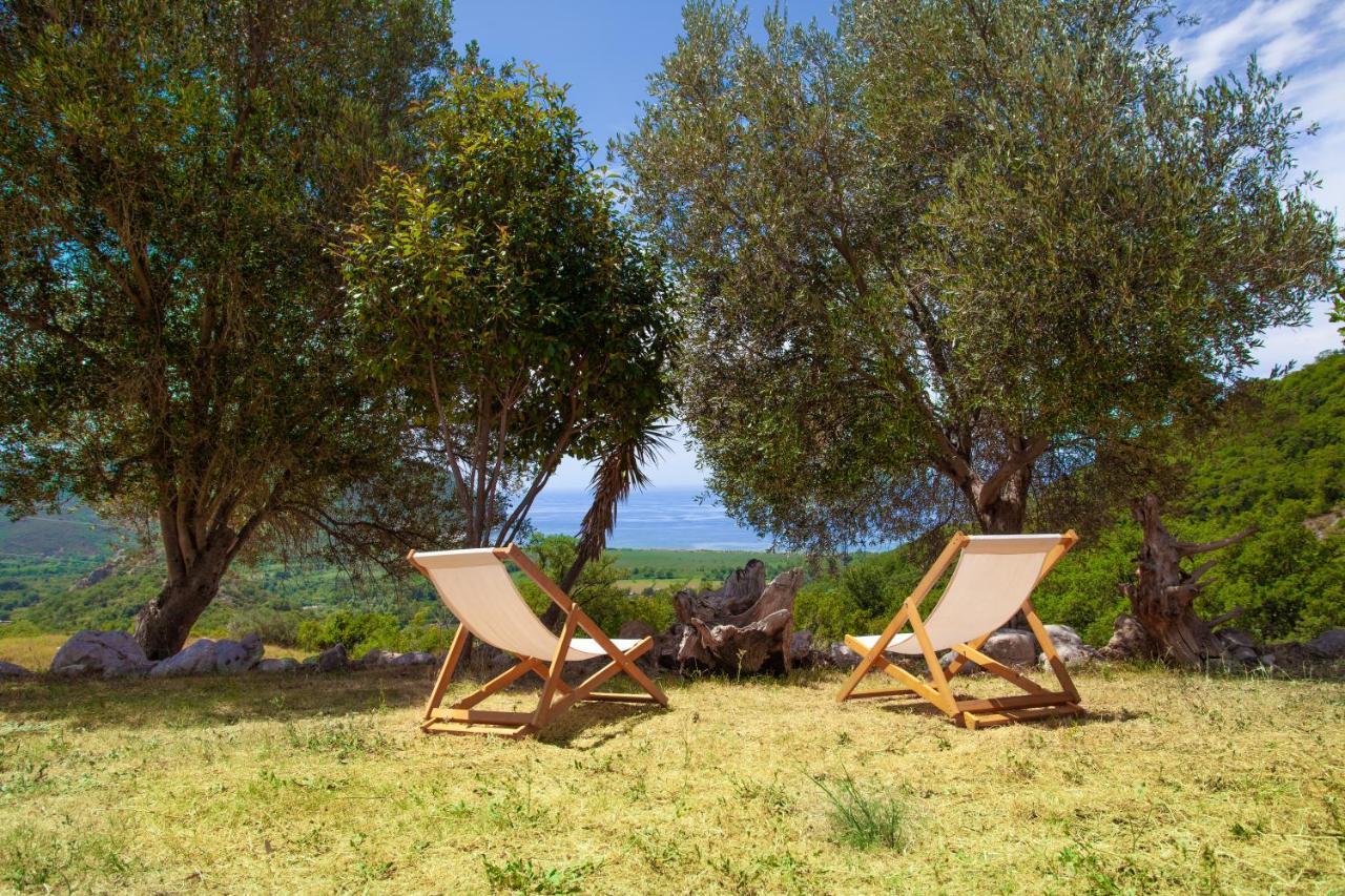 Eco Village Buljarica Budva Buitenkant foto